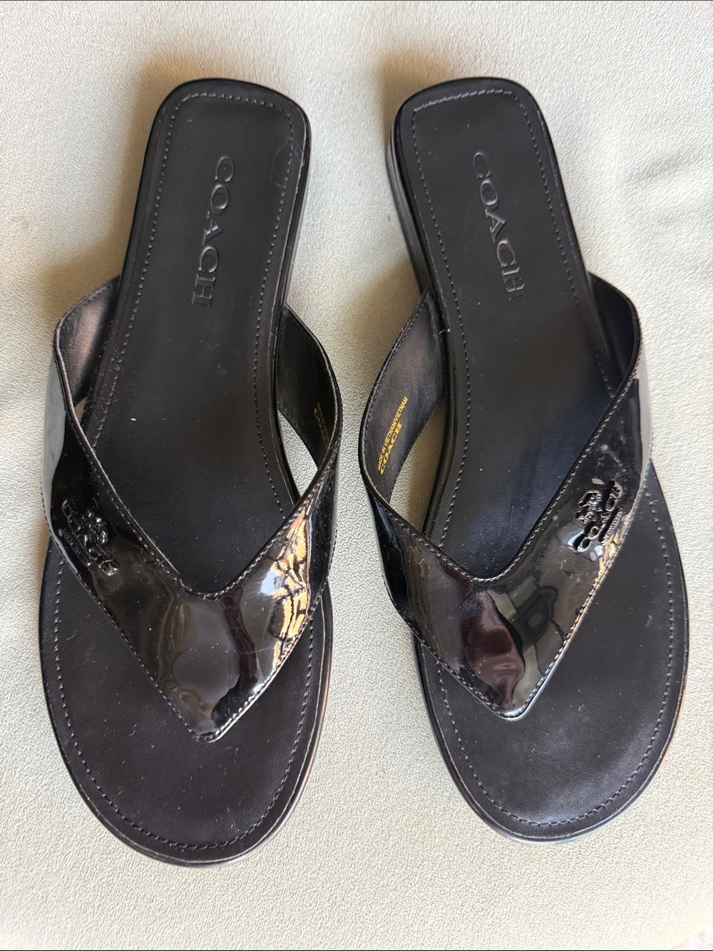 COACH Women's Black Bridgette Sandal